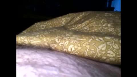 Snapshot of cutcockguy1975 chatting on February 25, 2025, 7:42 am Steve online show from February 25, 2025, 7:42 am