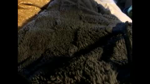 Snapshot of cutcockguy1975 chatting on March 2, 2025, 12:54 pm Steve online show from March 2, 2025, 12:54 pm