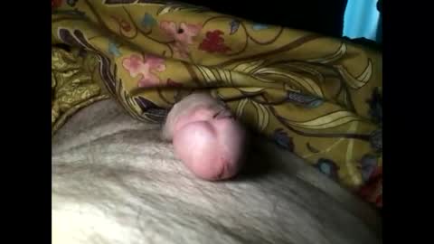 Snapshot of cutcockguy1975 chatting on March 3, 2025, 7:21 am Steve online show from March 3, 2025, 7:21 am