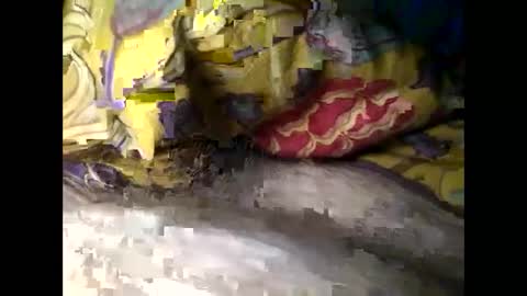 Snapshot of cutcockguy1975 chatting on March 4, 2025, 6:37 am Steve online show from March 4, 2025, 6:37 am