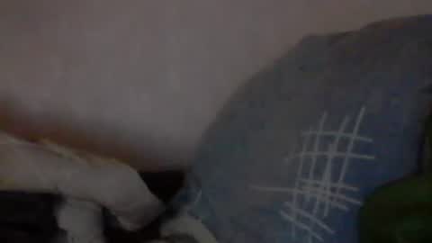 cutekattie online show from January 9, 2025, 3:58 am