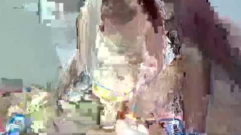 Snapshot of cutie_bella_xxx chatting on February 1, 2025, 1:55 am bella online show from February 1, 2025, 1:55 am