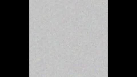 Wedito online show from December 17, 2025, 8:20 am