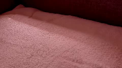  Richard  online show from February 27, 2025, 9:58 pm