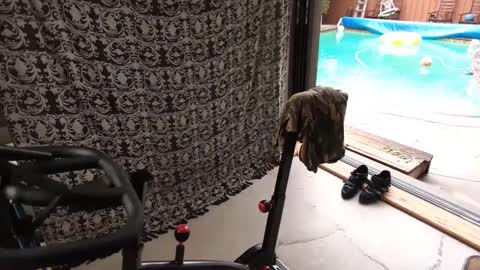 Snapshot of daddycache chatting on September 27, 2025, 4:34 pm bas online show from September 27, 2025, 4:34 pm