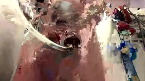 Daddy online show from January 5, 2025, 4:16 pm