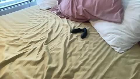 Snapshot of dadstrokin chatting on March 8, 2026, 5:28 pm dadstrokin online show from March 8, 2026, 5:28 pm