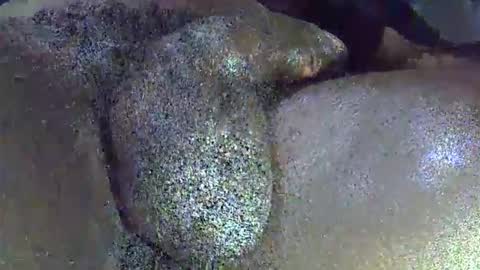 GIANT  Lamar  72 ft  tall  with a  10 inches  BBC   hard quick cumshot in private show lets go online show from April 1, 2026, 11:44 am