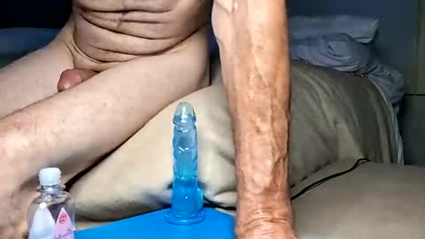 daileyrobert15 online show from April 11, 2026, 7:56 am