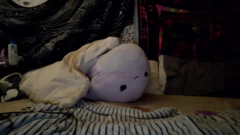 Snapshot of daintydarlingxoxo chatting on February 20, 2025, 6:28 am DaintyDarling online show from February 20, 2025, 6:28 am