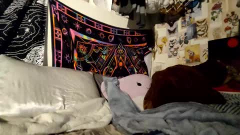 Snapshot of daintydarlingxoxo chatting on February 21, 2025, 6:48 pm DaintyDarling online show from February 21, 2025, 6:48 pm