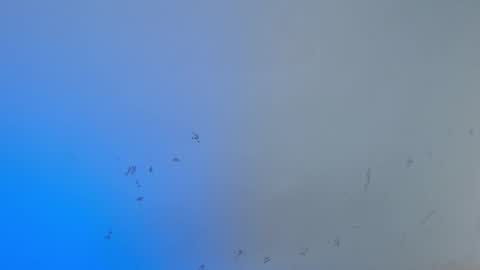 VALENTINA  online show from October 15, 2025, 8:03 am