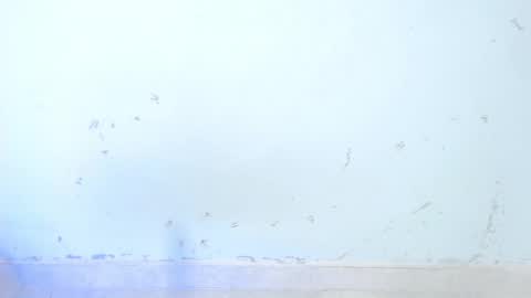 VALENTINA  online show from October 16, 2025, 8:48 am