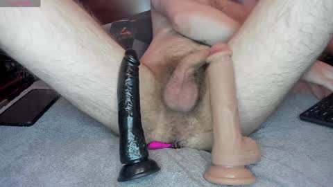 dalchir online show from December 14, 2024, 10:34 am