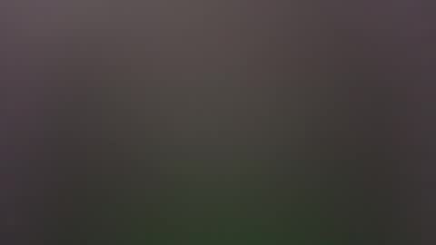 dallasjmg online show from February 25, 2026, 10:19 pm