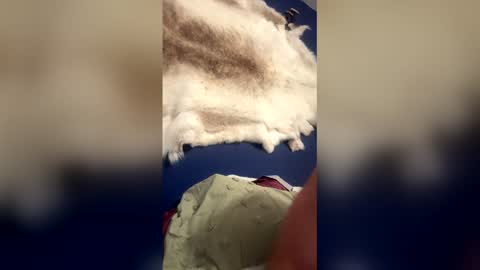 damontsi online show from March 22, 2026, 9:34 am