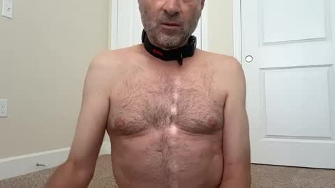 Snapshot of dan4002 chatting on June 18, 2026, 4:11 pm slave being trained online show from June 18, 2026, 4:11 pm