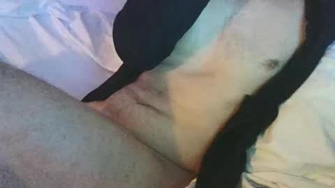 dan567y online show from February 28, 2025, 5:59 am