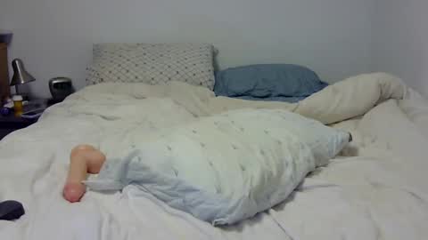 Andy online show from February 7, 2025, 2:19 am