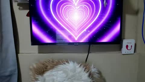 Snapshot of danica_wild chatting on June 26, 2026, 11:31 pm Danica online show from June 26, 2026, 11:31 pm