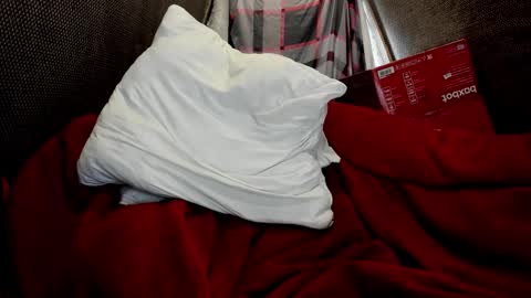 Just Ben online show from March 24, 2026, 1:27 pm