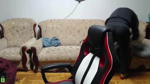 Daniel online show from February 9, 2025, 5:11 pm