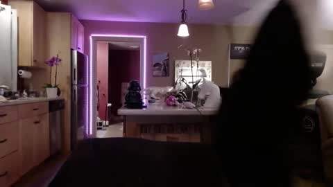 DanikaWhite69 online show from February 9, 2025, 8:22 am