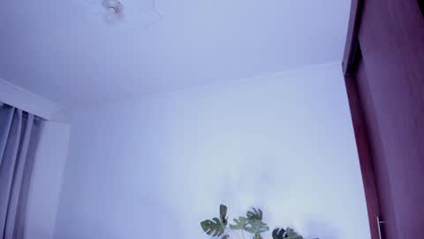 Snapshot of danna_stewart chatting on December 30, 2024, 2:42 am Paulina online show from December 30, 2024, 2:42 am