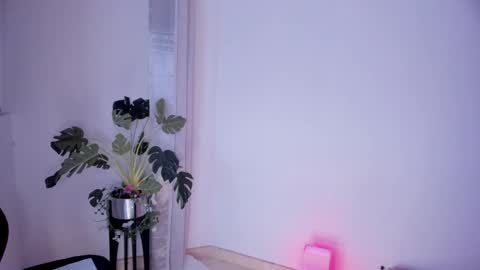 Snapshot of danna_stewart chatting on March 2, 2025, 4:39 am Paulina online show from March 2, 2025, 4:39 am