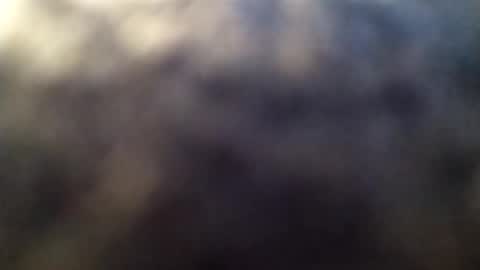 dannowisc online show from March 1, 2026, 2:02 am