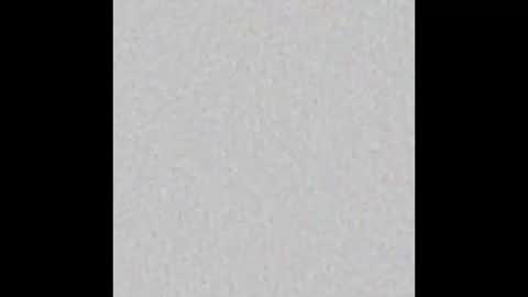 Dannyaa online show from December 4, 2025, 12:03 pm