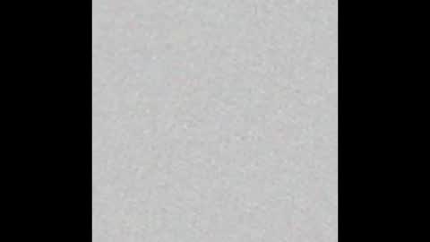 Dannyaa online show from December 17, 2025, 12:11 pm