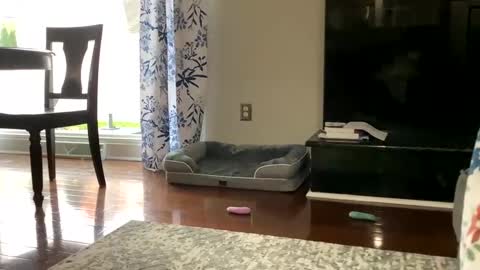 Snapshot of dannyboy621 chatting on October 25, 2025, 1:18 pm dannyboy621 online show from October 25, 2025, 1:18 pm