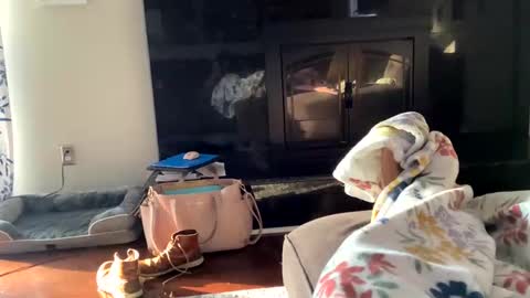 Snapshot of dannyboy621 chatting on November 2, 2025, 1:24 pm dannyboy621 online show from November 2, 2025, 1:24 pm