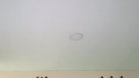 Dante online show from February 13, 2025, 8:55 pm