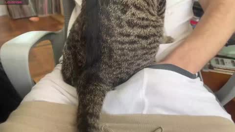 Dante online show from January 24, 2025, 5:53 pm