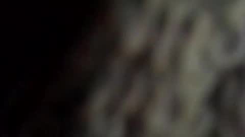 Snapshot of danys69 chatting on October 11, 2025, 8:18 pm danys69 online show from October 11, 2025, 8:18 pm