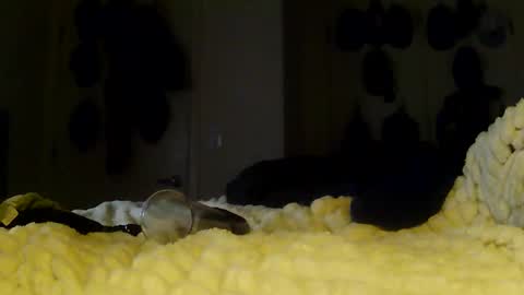 Betty and Robert Play time online show from January 13, 2026, 6:08 am