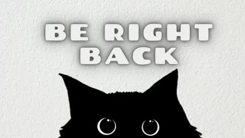 darienlarge online show from January 10, 2026, 9:33 am