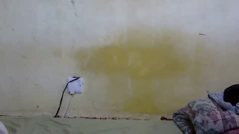 dark_princess1 online show from December 23, 2025, 7:06 am