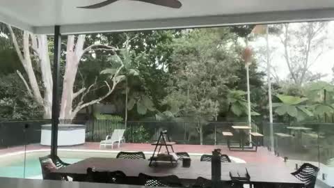 dartanian0001 online show from September 18, 2025, 8:55 pm