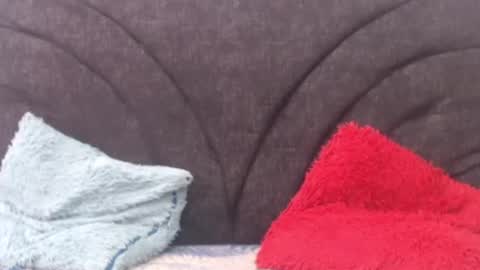 darui_on_fire online show from July 10, 2026, 1:14 pm