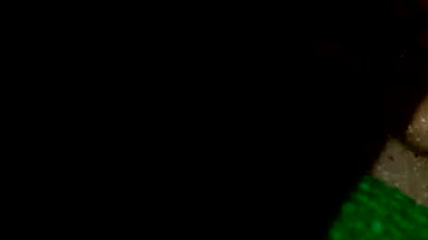 david1982yesyes online show from April 16, 2026, 12:39 pm