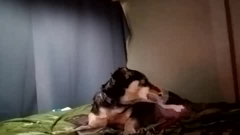 Snapshot of davidjose1995 chatting on December 29, 2024, 9:30 pm Juice cock online show from December 29, 2024, 9:30 pm