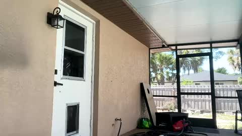 Dazey online show from April 21, 2026, 8:23 pm