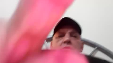 dazzaboxer online show from October 2, 2025, 1:12 am