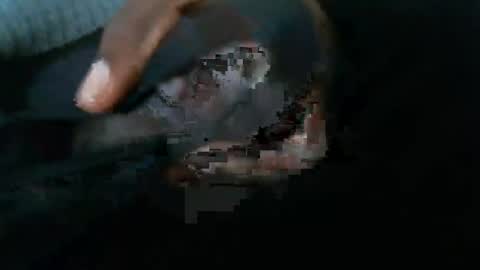 dbizzlenyc online show from February 1, 2025, 9:19 pm