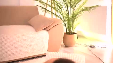 Tamara online show from July 9, 2026, 1:26 pm