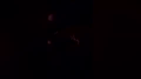 deerpark9 online show from April 19, 2026, 3:06 am