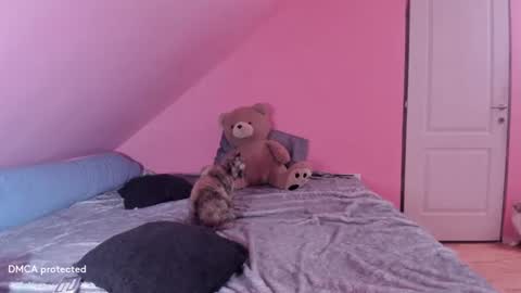 Deessert online show from February 16, 2025, 2:53 am